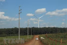 Nghiên cứu thành lập Trung tâm năng lượng tái tạo