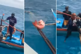 Cộng đồng mạng Philippines bị "đốn tim" bởi hành động của tàu VN trên Biển Đông