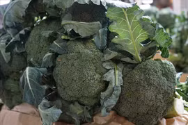 11 loại rau củ tốt cho răng miệng