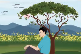 Dưới tán cây mùa xuân