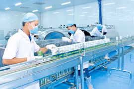 Gia Lai: Doanh nghiệp vừa và nhỏ nộp hồ sơ nhu cầu hỗ trợ trước ngày 30-5-2022