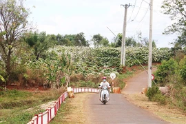 Trà Đa: "Đất lành, chim đậu"