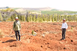 Kỳ cuối: Siết chặt quản lý nguồn giống