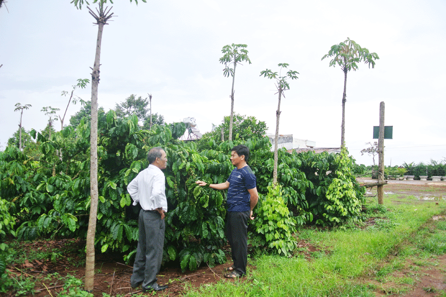 SHB Gia Lai: Cho vay kích cầu bằng lãi suất ưu đãi