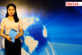 Gia Lai 48h: Nông dân lao đao vì tiêu chết hàng loạt