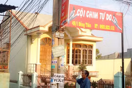 Cột điện chình ình giữa hẻm