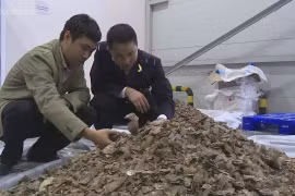 Nội Bài phát hiện đơn hàng gần 200 kg ma túy 'lá khát'