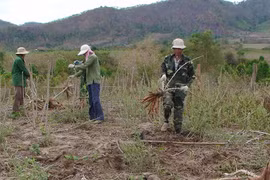 Hội Cựu chiến binh huyện Krông Pa: Đồng hành cùng hội viên qua phong trào "3 giúp"