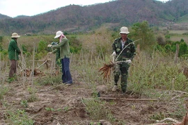 Hội Cựu chiến binh huyện Krông Pa: Đồng hành cùng hội viên qua phong trào "3 giúp"