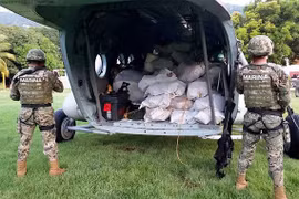 Mexico thu giữ gần 2 tấn cocaine