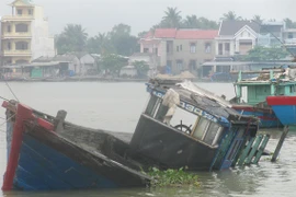 Hàng loạt tàu cá Bình Định gặp nạn trên biển