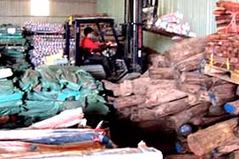 Kỳ án gỗ trắc tang vật bị đem bán sẽ kết thúc sau 7 năm?