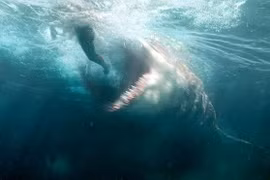 Phim bom tấn về siêu cá mập tiền sử thành công vượt kỳ vọng