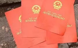 Lâm Đồng: Thuê người làm 'sổ đỏ' giả để lừa đảo