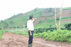 Trồng cây xanh dọc tuyến đường vào núi lửa Chư Đăng Ya