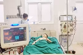 Cứu sống cháu bé bị ong vò vẽ đốt dẫn tới suy đa tạng