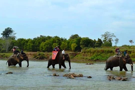 Tây Nguyên miền huyền thoại