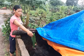 Hương ước làm thay đổi cuộc sống dân làng