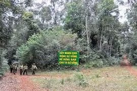 Ban Quản lý Khu BTTN Kon Chư Răng chi sai hơn 430 triệu đồng