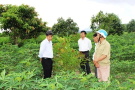 Khuyến khích nông dân vươn lên làm giàu
