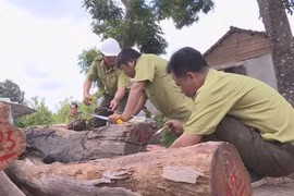 Vụ bắt trùm gỗ Phượng "Râu":Mở rộng điều tra,hàng loạt cán bộ liên đới