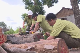 Vụ bắt trùm gỗ Phượng "Râu":Mở rộng điều tra,hàng loạt cán bộ liên đới