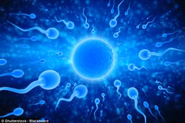 Nam thanh niên mắc quai bị,BS phải dùng kính hiển vi bắt từng tinh trùng