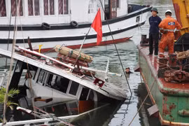 Hy hữu: Thuyền trưởng ngủ quên, tàu du lịch bị chìm ở Tuần Châu