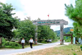 Lại chuyện về rừng