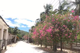 Quy Hòa - Xôn xao ngày nắng