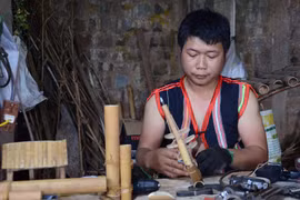 Người đam mê nhạc cụ dân tộc