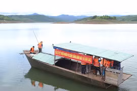 Thả hơn 85 ngàn con cá giống ra hồ Ka Nak