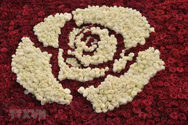 Lộng lẫy kim tự tháp được kết từ hàng trăm nghìn đóa hồng