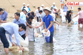 Thả hơn 85 ngàn con cá giống ra hồ thủy điện