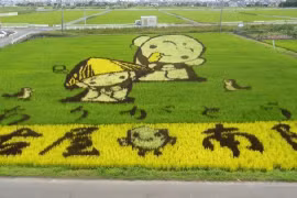 Ngôi làng nghèo "lột xác" nhờ sức hút của những bức tranh lúa