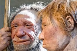 Phát hiện mới về tổ tiên loài người