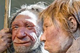 Phát hiện mới về tổ tiên loài người