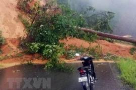 Đã thông tuyến quốc lộ 18B nối cửa khẩu quốc tế Bờ Y với Lào