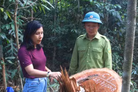 Bắt được đối tượng tấn công kiểm lâm rồi bỏtrốn vào rừng