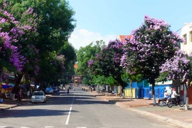 Pleiku, những gam màu phố nhỏ
