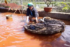 Chư Pah: Mưa lớn gây ngập lụt cục bộ