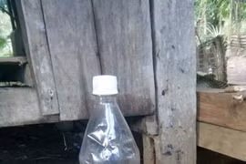 Uống rượu ngâm rễ cây lạ, 2 cậu cháu ở Quảng Nam thiệt mạng