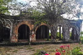 Một ngày ngắm cảnh, dạo biển ở Tiền Giang