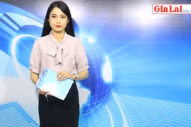 Gia Lai 48h: Đình chỉ công tác nhân viên Bưu điện quăng hàng của khách