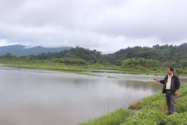 Đak Đoa: Nỗ lực khôi phục ruộng lúa bị ngập úng