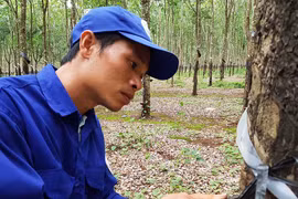 Thợ trẻ giỏi toàn quốc Nguyễn Văn Quý hết mình với công việc
