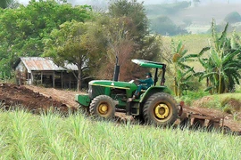 Phát triển vùng nguyên liệu mía hướng đến sự bền vững