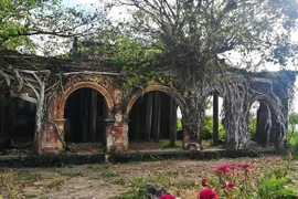 Một ngày ngắm cảnh, dạo biển ở Tiền Giang