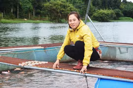 Phạm Thị Kim Ngà: Thu tiền tỷ từ nuôi cá lồng
