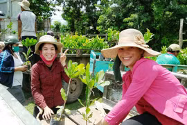 Ia Pa liên kết sản xuất theo chuỗi giá trị